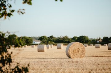 Photo harvest festival