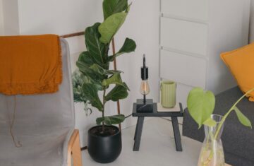 Photo apartment living room