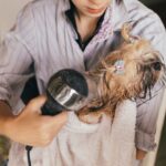 Photo pets at home