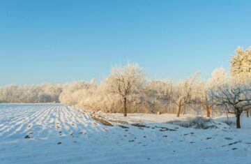 Zimowy spacer zamiast scrollowania - jak skutecznie się zresetować?